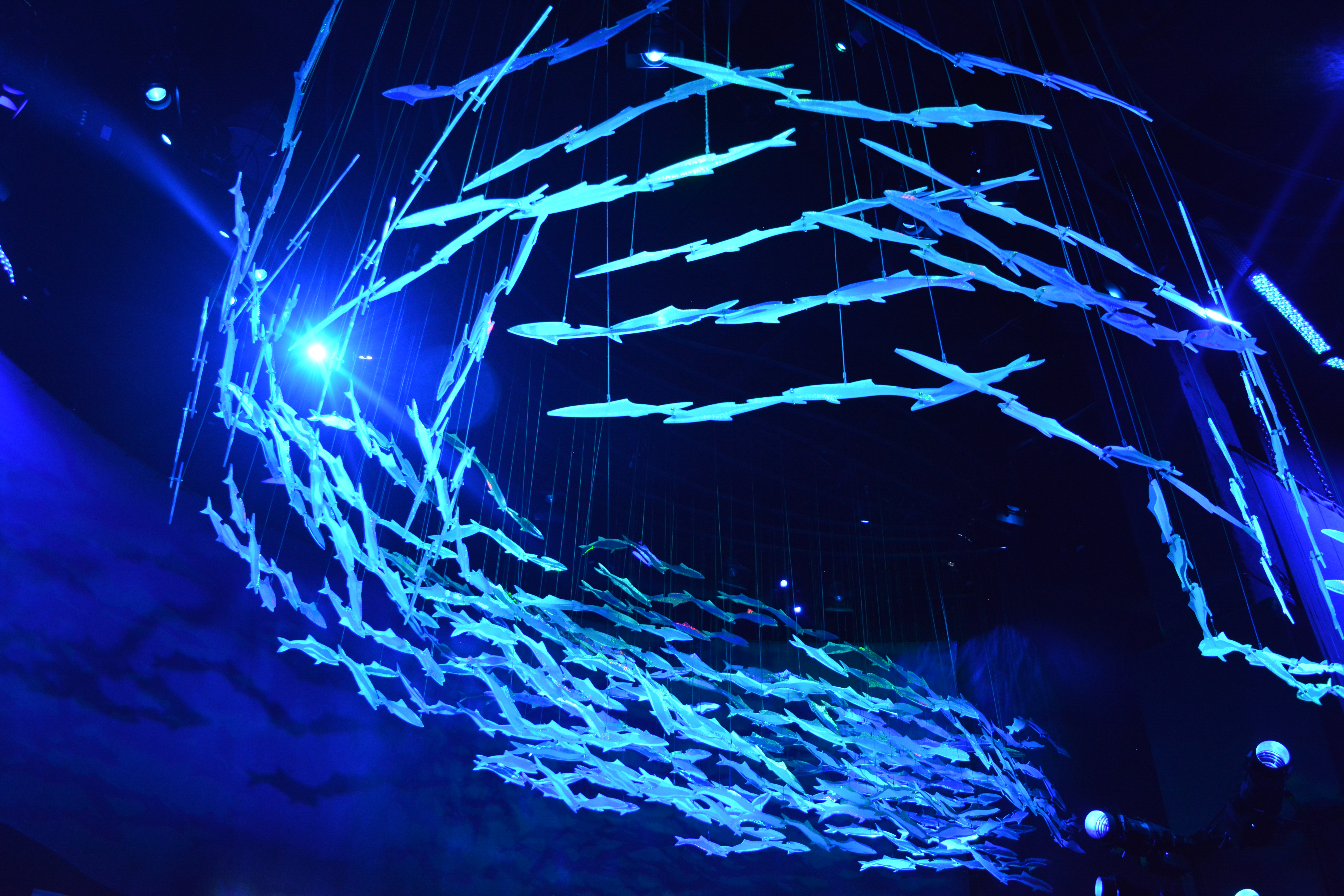 National Geographic Encounter Ocean Odyssey New York | Vancouver Full Service Digital Agency | Feifei Digital Ltd 2019